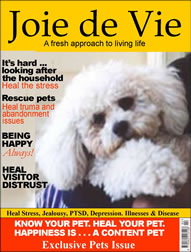 pets health & wellness